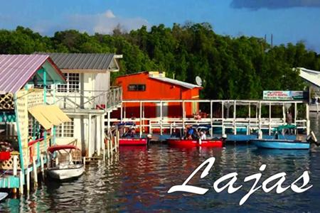 La Parguera de Lajas has many attractions. Many of them are natural and others are not. It has the colorful boats houses. They are strictly regulated to minimize the impact on nature.
   All waste must be processed in each of them and it is forbidden to throw it directly into the bay. They can be seen on a walk through the mangroves.