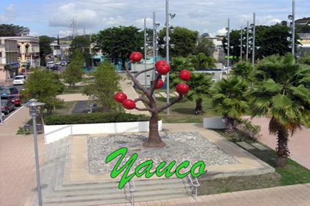 The Acabe, in Yauco the harvest festivals are recurrent in the history of all peoples.
The industrial society has relegated them from their central role, in the same way that consumerism has displaced all meaningful capacity of production.
The ending in Yauco is nostalgic reminiscence of past eras, but at the same time it is an opportunity to make a comment about the earth and our primal link to it.